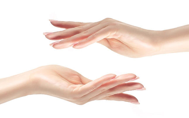 Hand model Hand model