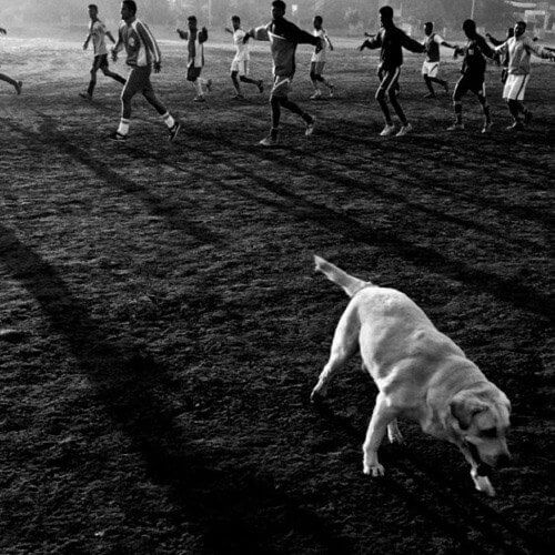 Indrajit Khambe Portfolio Website Examples