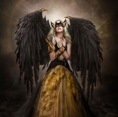 Jason Hanh Pixpa Websites